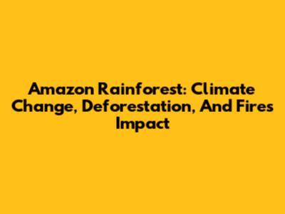 Amazon Rainforest: Climate Change, Deforestation, And Fires Impact