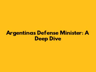 Argentina's Defense Minister: A Deep Dive