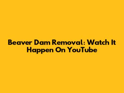 Beaver Dam Removal: Watch It Happen On YouTube