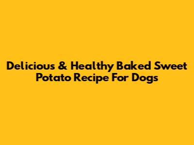 Delicious & Healthy Baked Sweet Potato Recipe For Dogs
