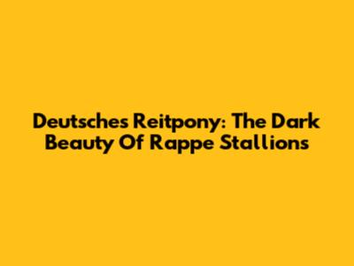 Deutsches Reitpony: The Dark Beauty Of Rappe Stallions