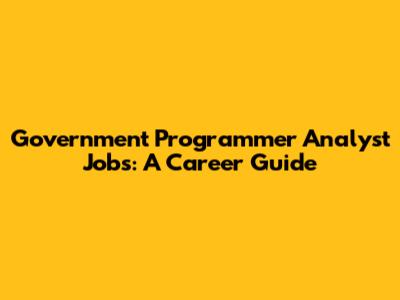 Government Programmer Analyst Jobs: A Career Guide
