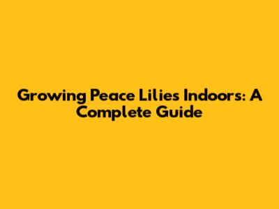 Growing Peace Lilies Indoors: A Complete Guide