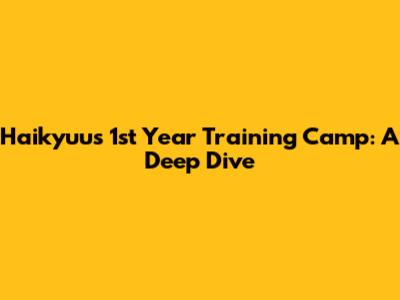 Haikyuu's 1st Year Training Camp: A Deep Dive