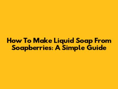 How To Make Liquid Soap From Soapberries: A Simple Guide