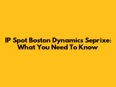 IP Spot Boston Dynamics Seprixe: What You Need To Know