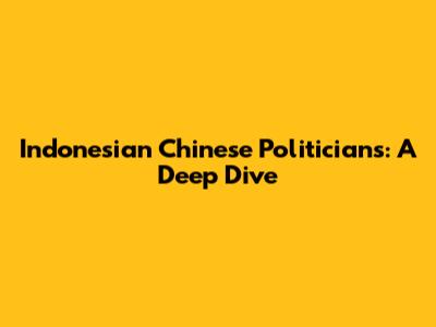 Indonesian Chinese Politicians: A Deep Dive