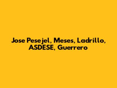 Jose Pesejel, Meses, Ladrillo, ASDESE, Guerrero