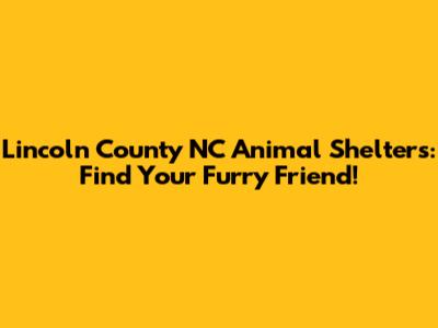 Lincoln County NC Animal Shelters: Find Your Furry Friend!