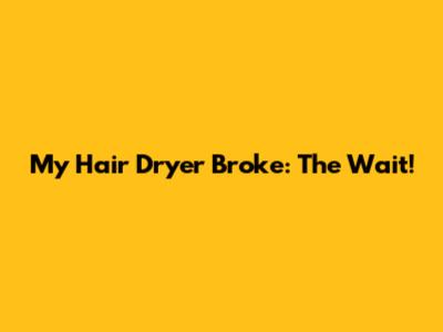 My Hair Dryer Broke: The Wait!