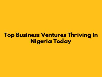 Top Business Ventures Thriving In Nigeria Today