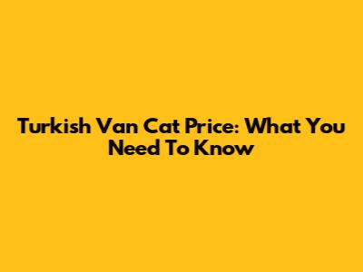 Turkish Van Cat Price: What You Need To Know