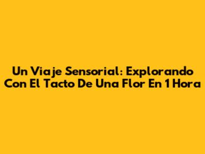 Un Viaje Sensorial: Explorando 'Con El Tacto De Una Flor' En 1 Hora