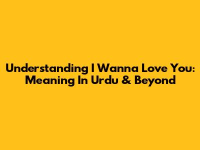 Understanding "I Wanna Love You": Meaning In Urdu & Beyond