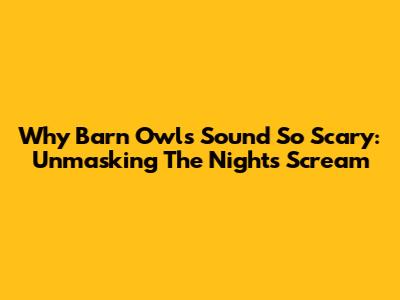 Why Barn Owls Sound So Scary: Unmasking The Night's Scream
