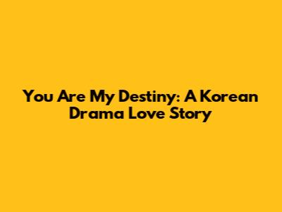 You Are My Destiny: A Korean Drama Love Story